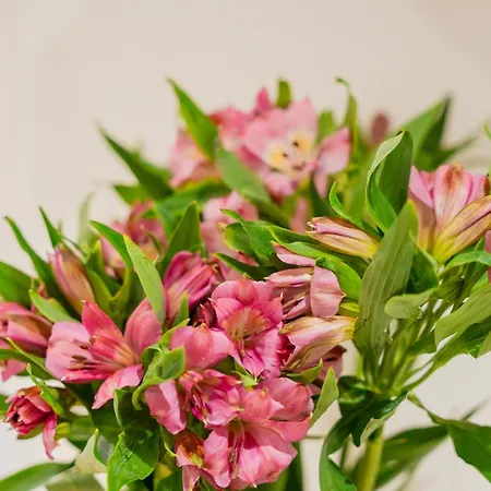 Rockliffe House By Horizon Appartamento